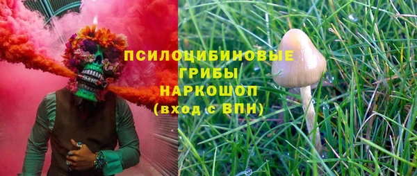 ешки Белоозёрский