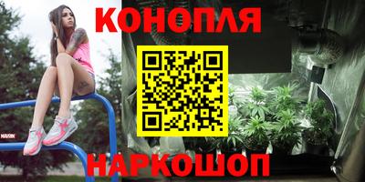 спайс Камышлов