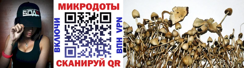 Псилоцибиновые грибы мицелий  наркотики  Славгород 
