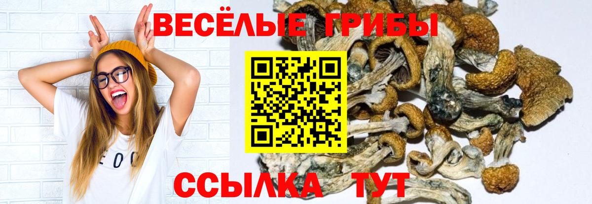 Славгород  Галлюциногенные грибы Cubensis  Вход с VPN  Псилоцибиновые грибы Magic Shrooms 